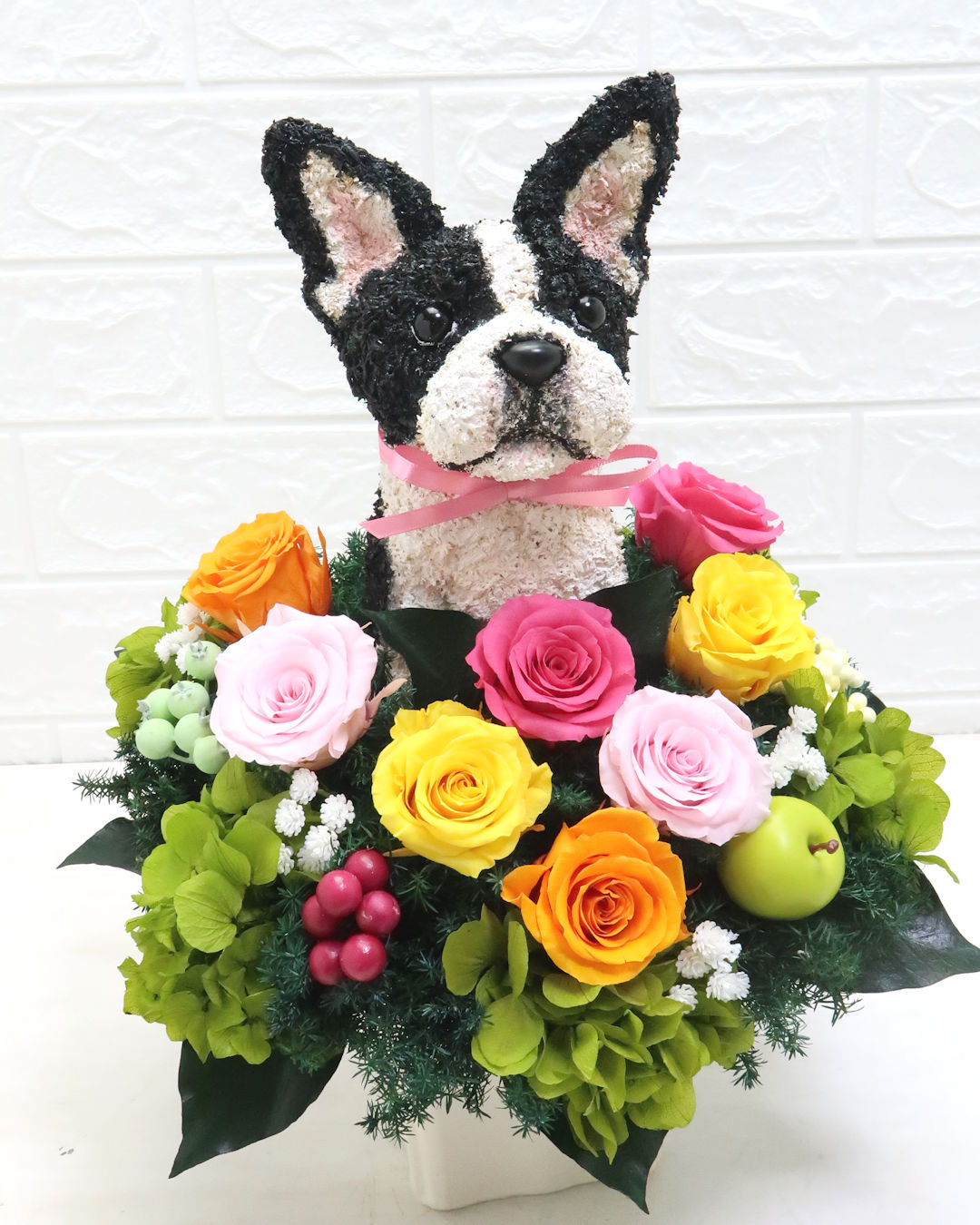 犬花