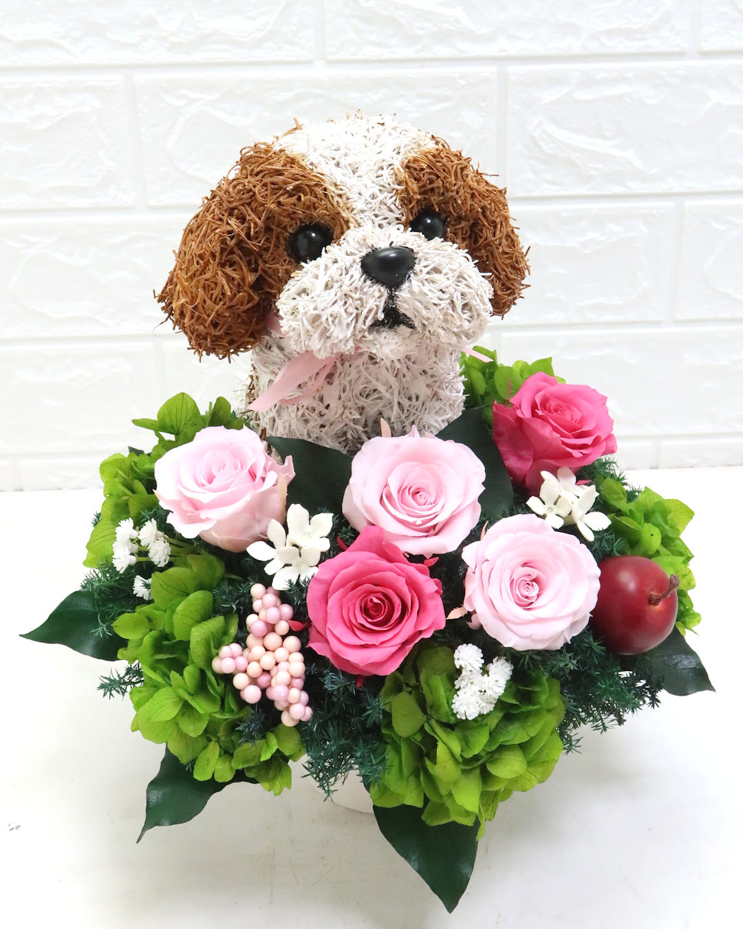 シーズー プレゼント