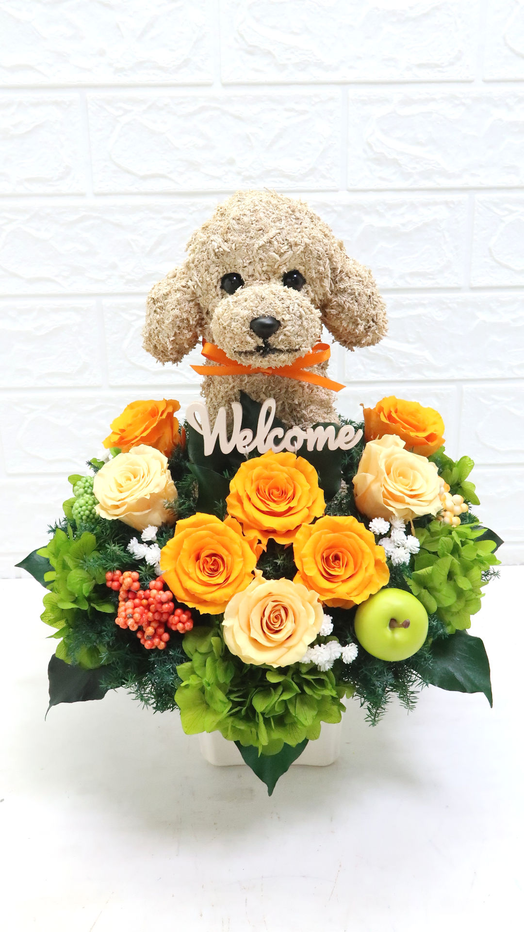 開店祝い犬
