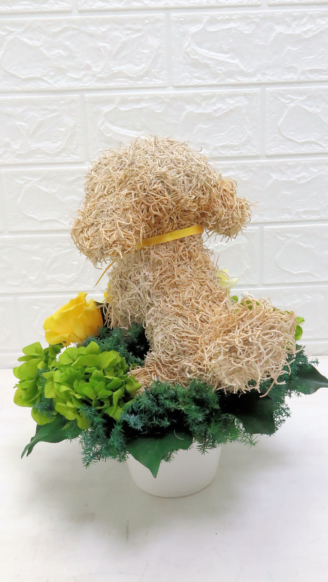 犬花