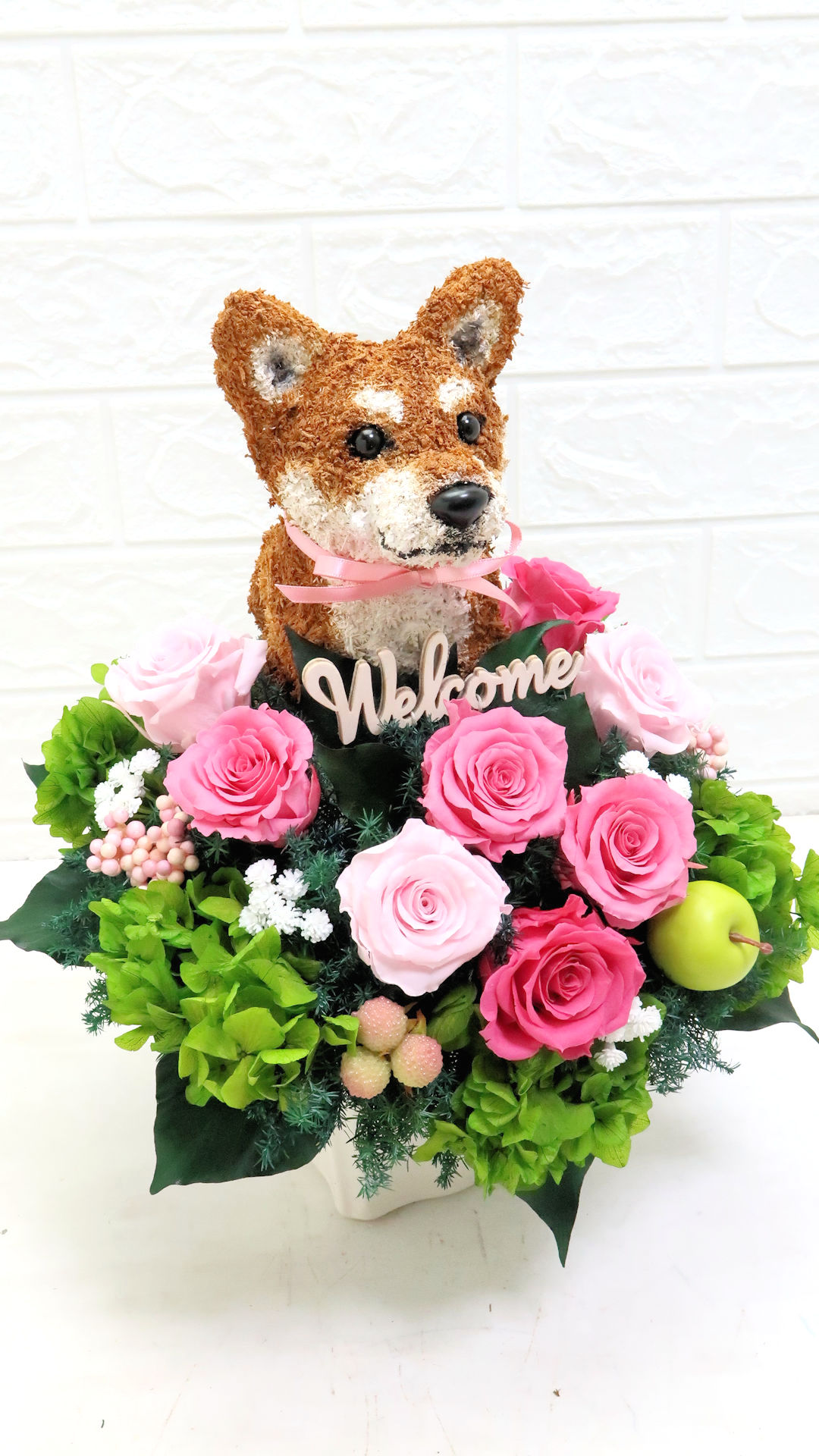 犬花