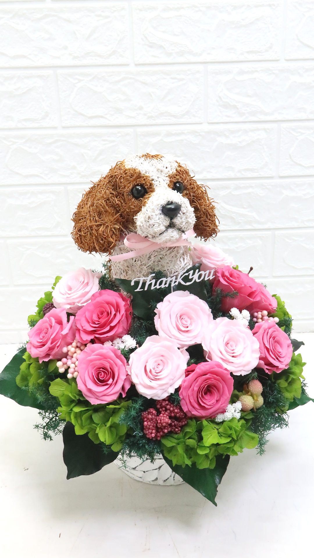 犬花