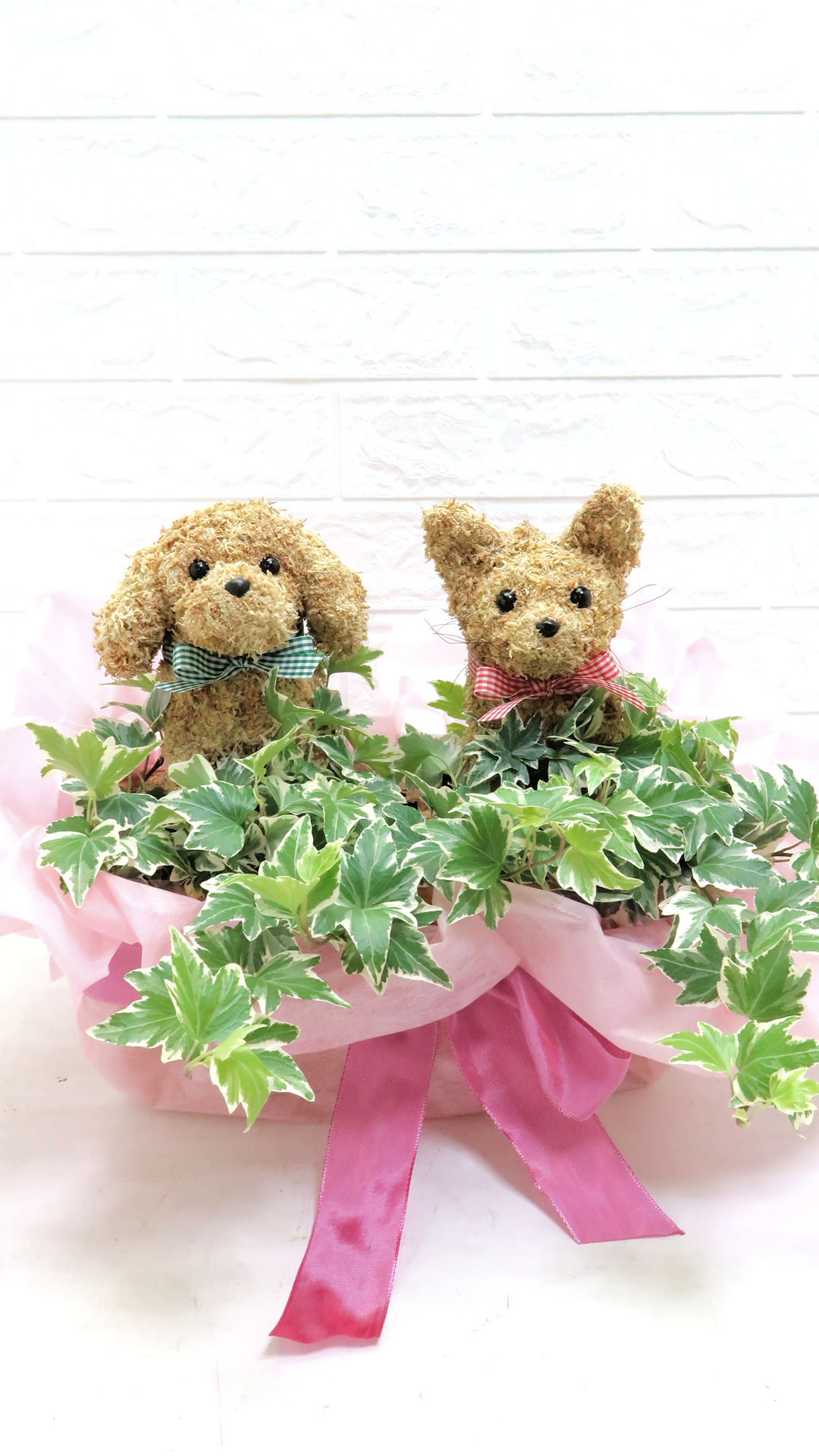 動物病院開院祝い