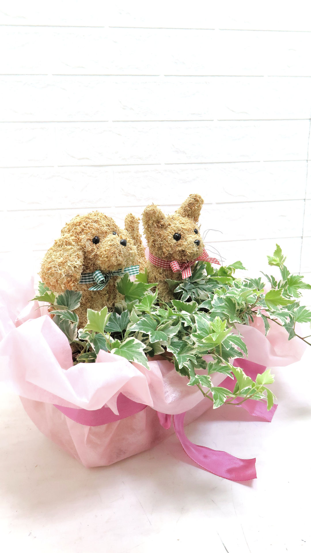 動物病院 周年祝い