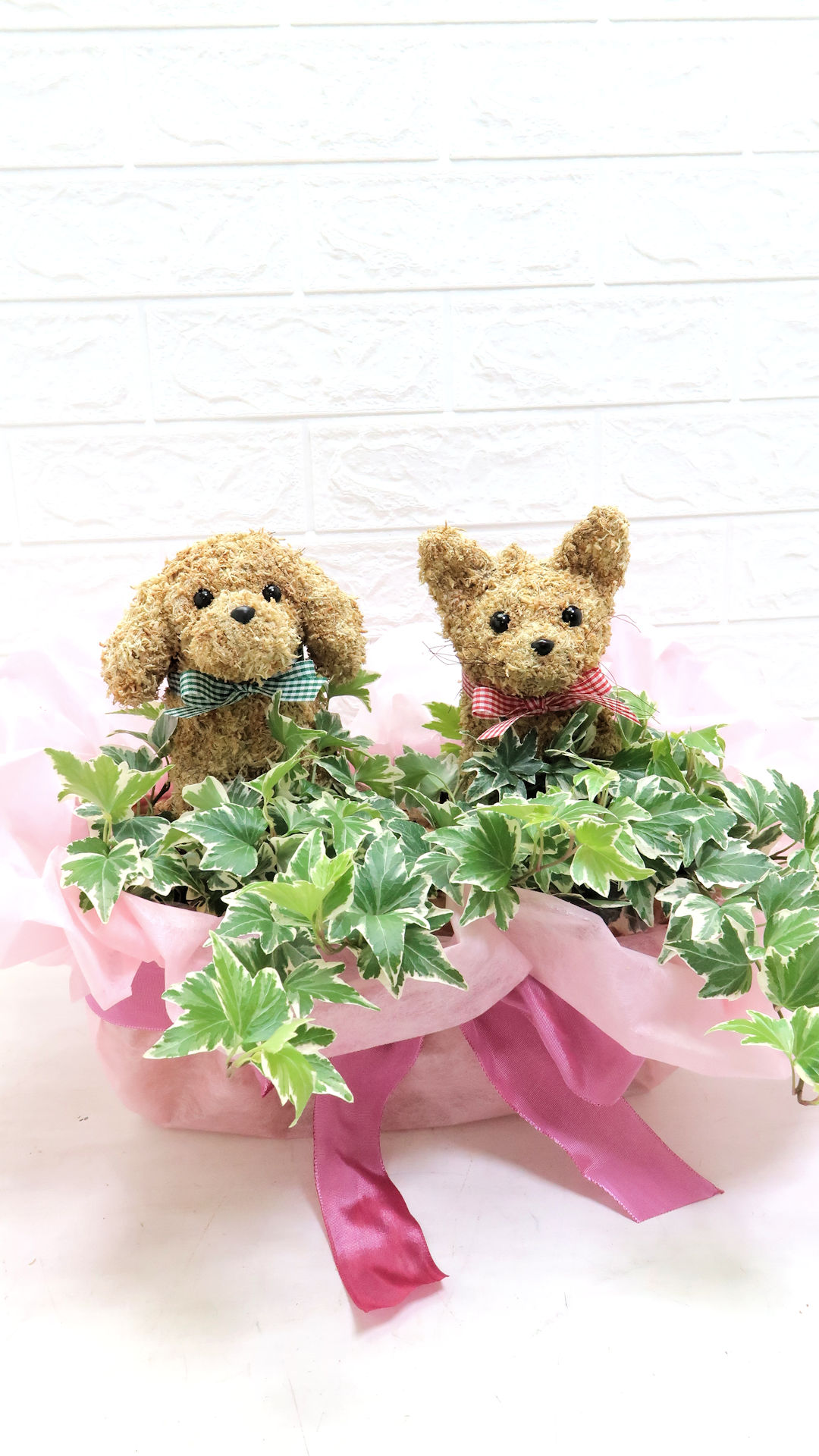 犬と猫 寄せ植え