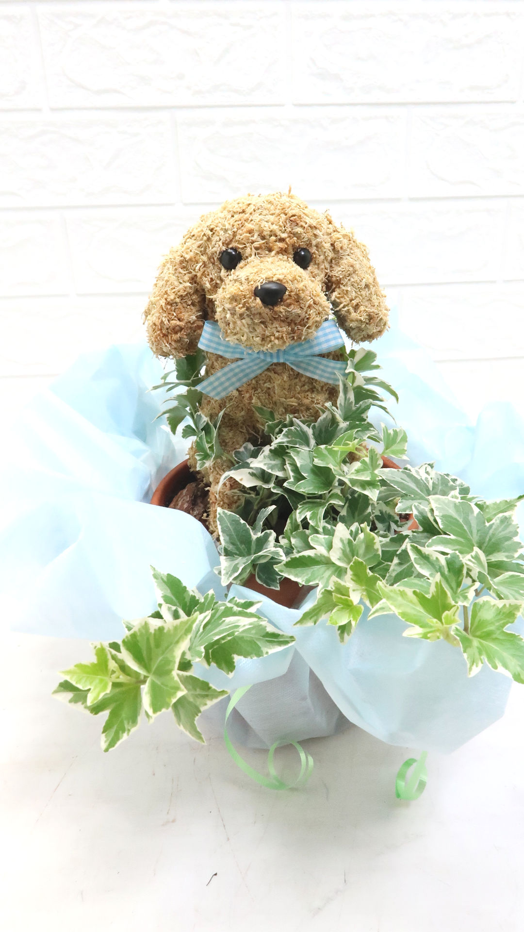 ペットのお悔やみ