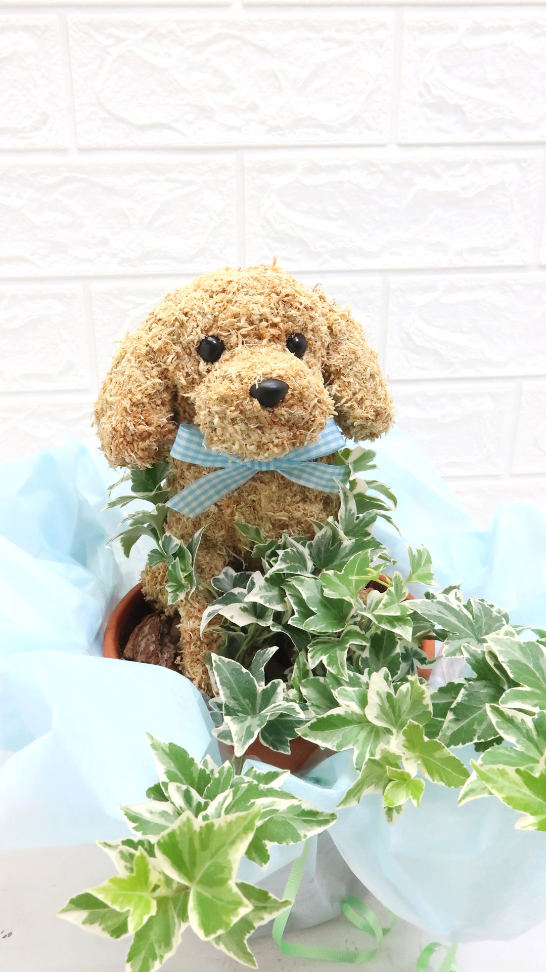 ペットお悔やみ　犬