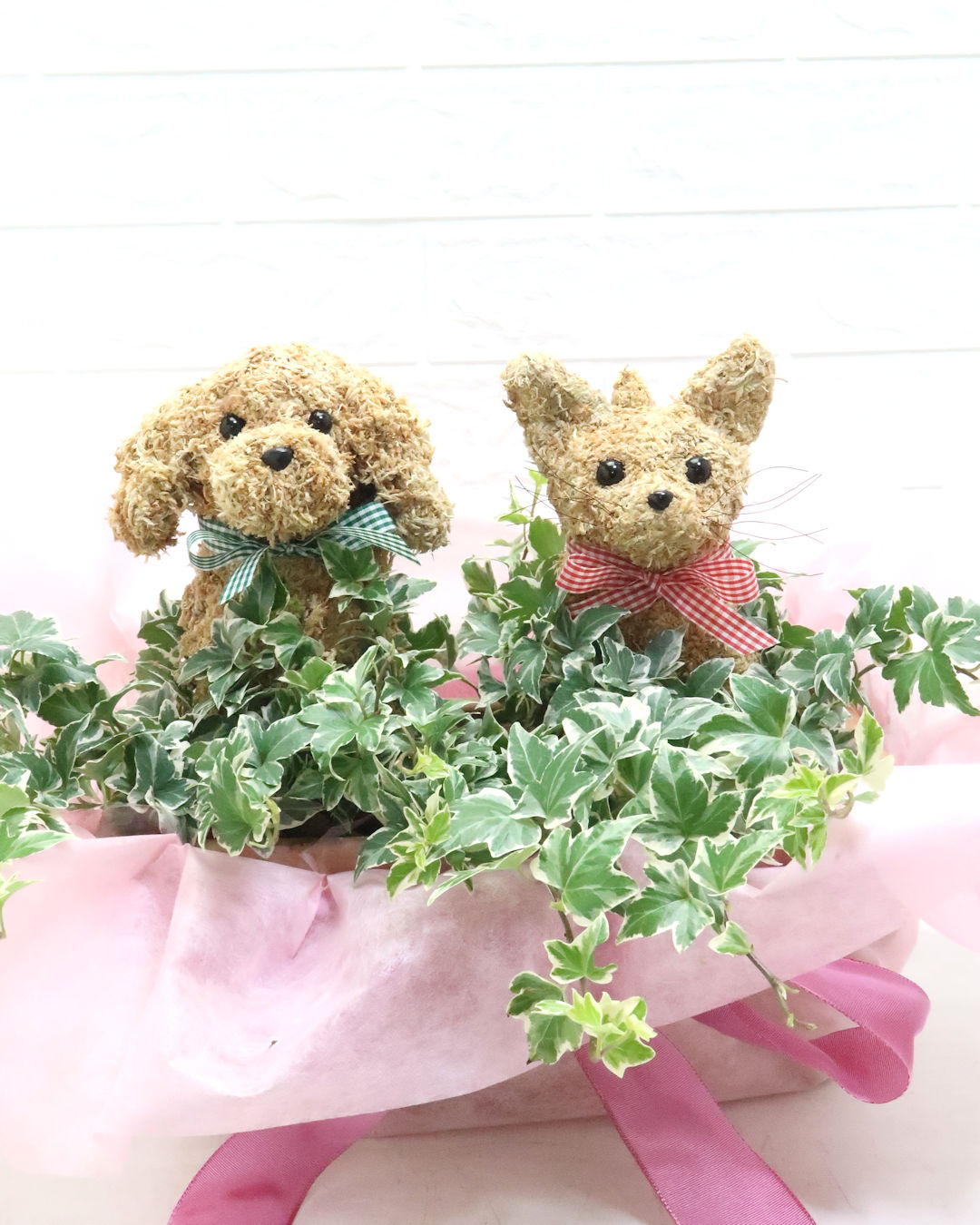 動物病院開院祝い