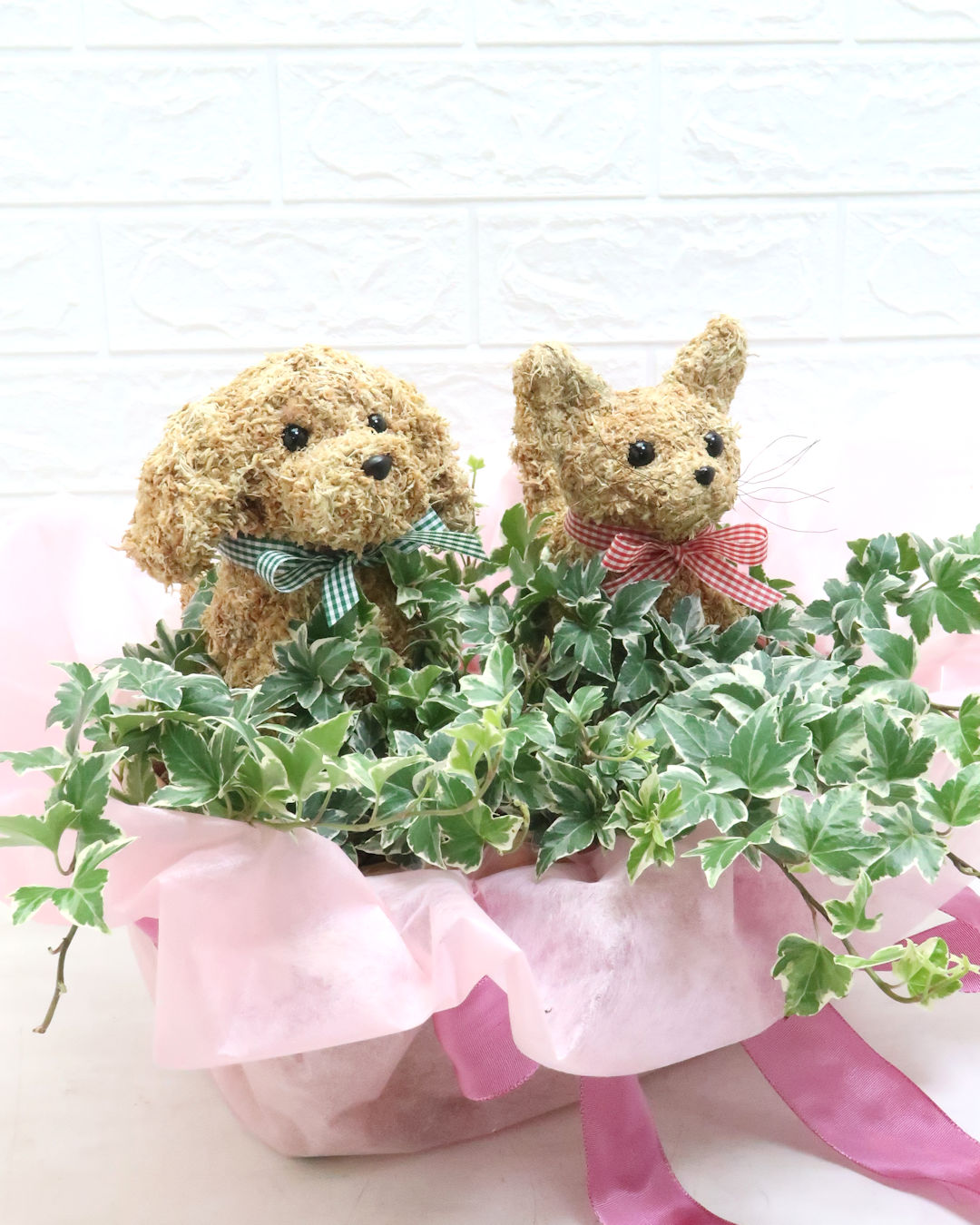 動物病院開院祝い 花