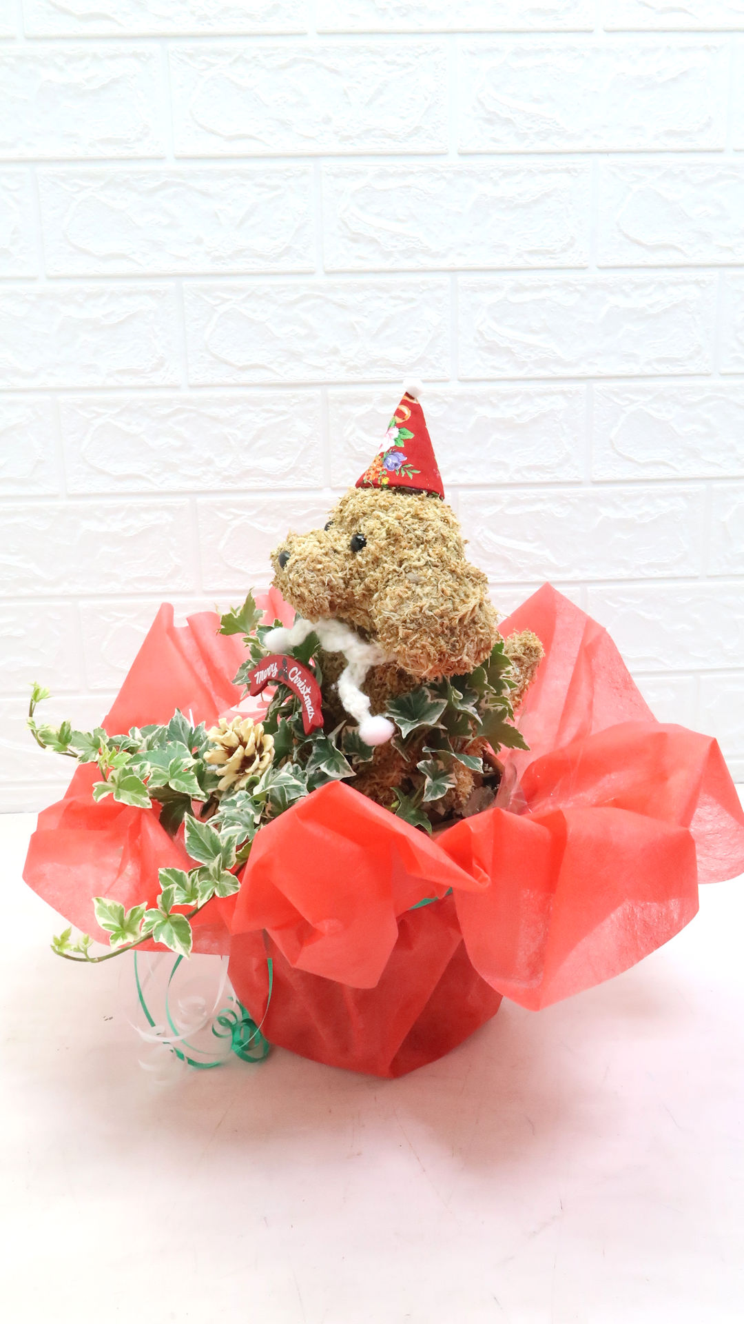 クリスマスプレゼント 犬