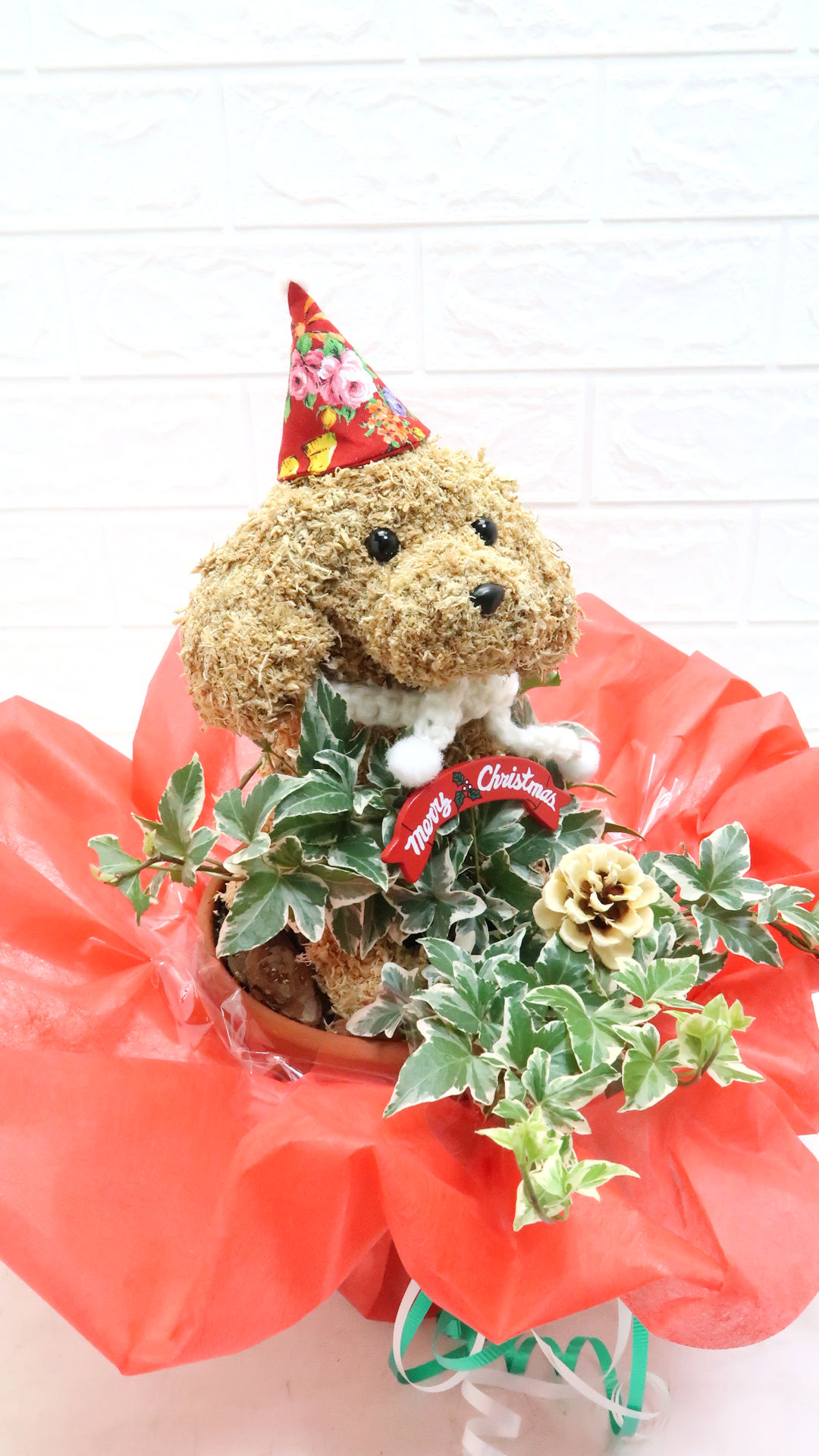 クリスマスプレゼント 犬