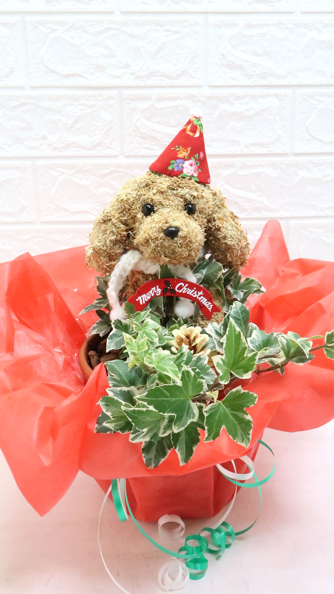 犬好きクリスマスプレゼント