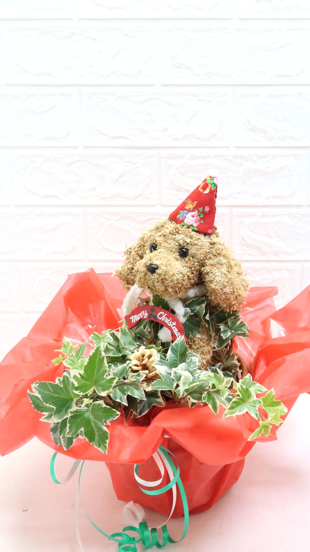 アニマルフラワー犬