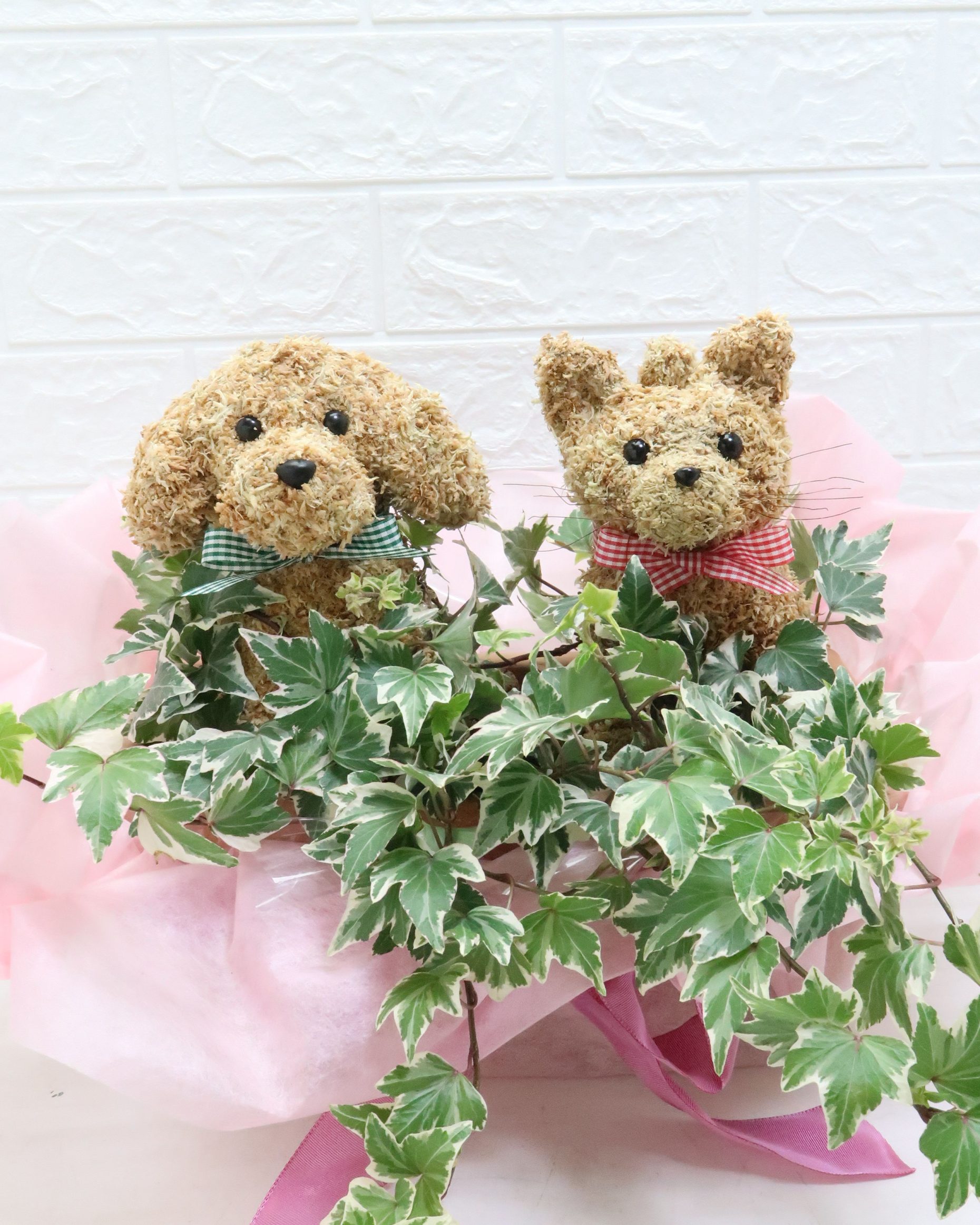 動物病院開院祝い