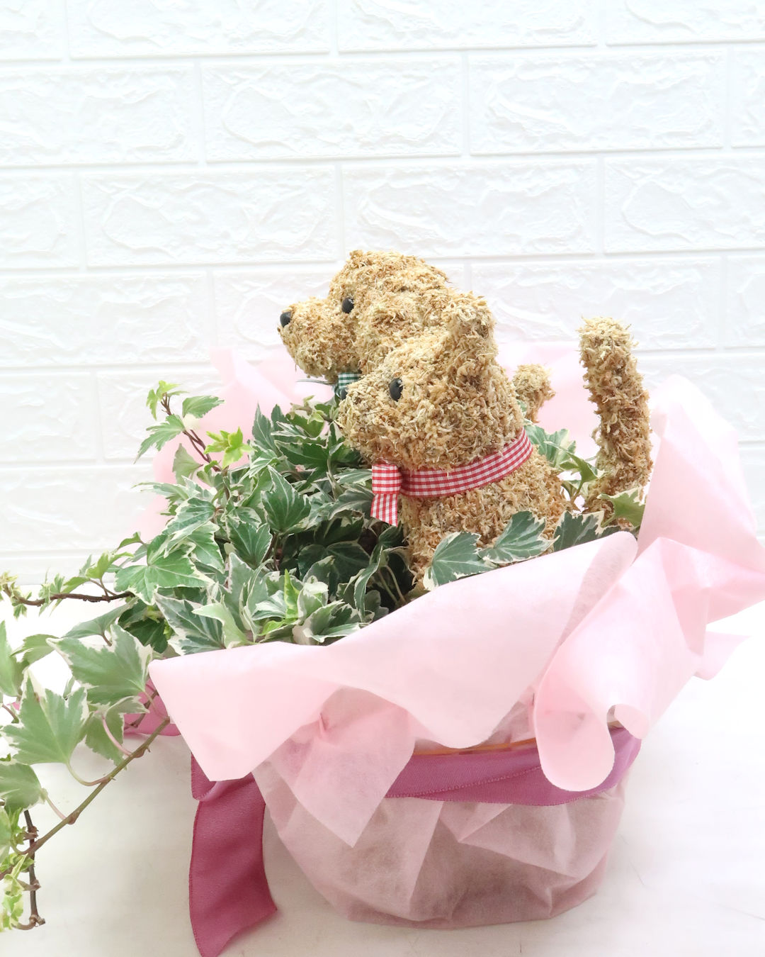 動物病院開院祝い花