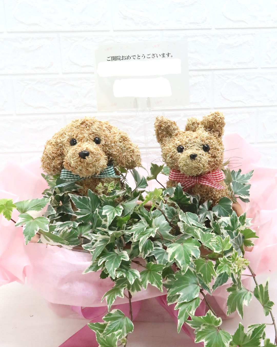 動物病院開院祝い