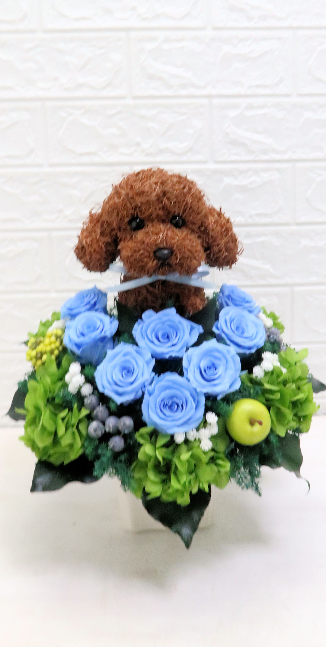 動物病院開院祝い