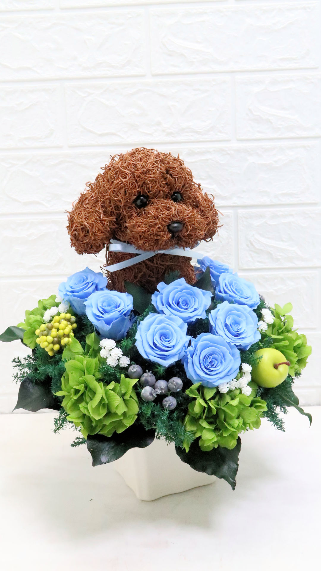 動物病院 開院祝い