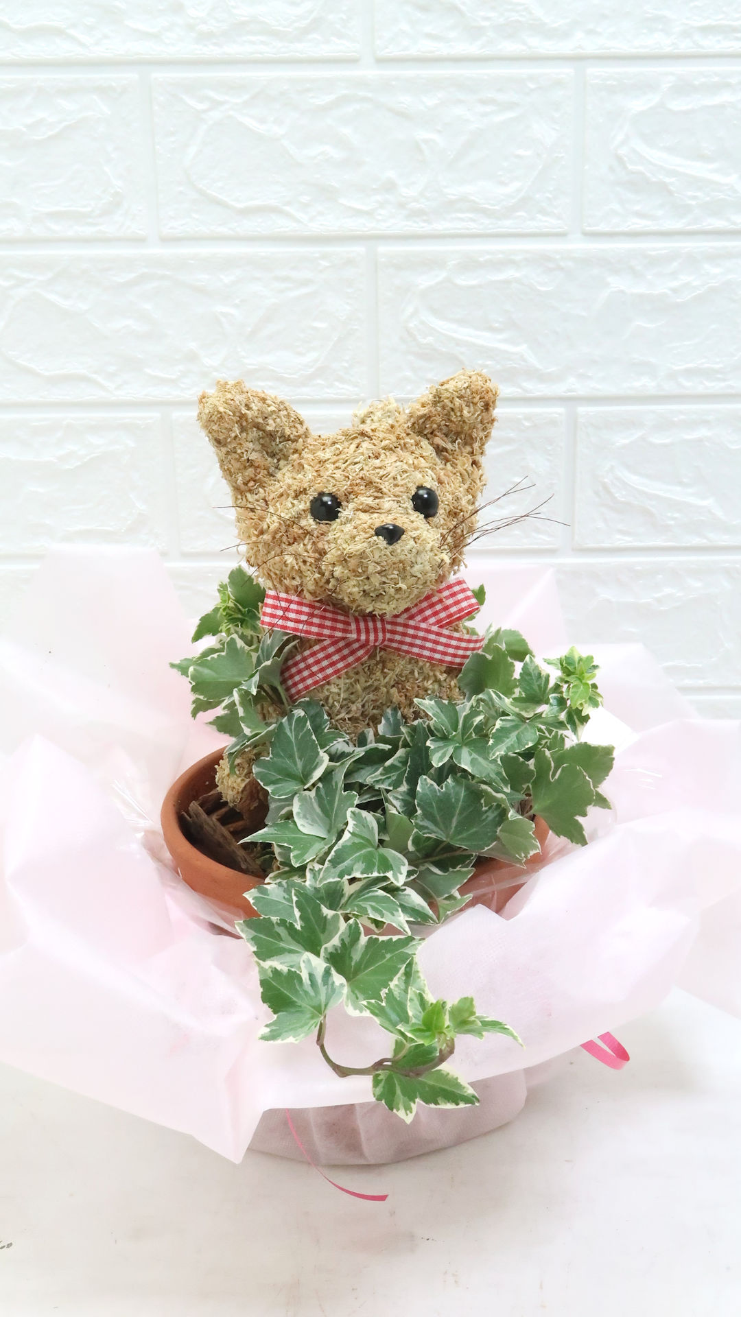 ペットのお悔やみ