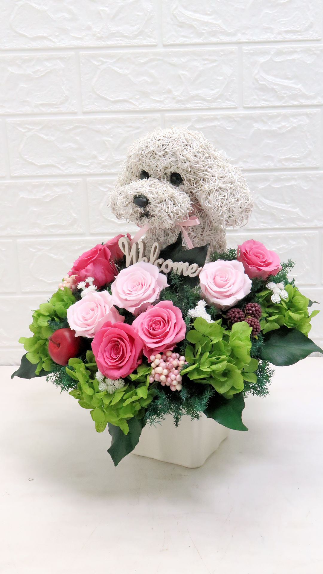 ペットサロン開店祝い