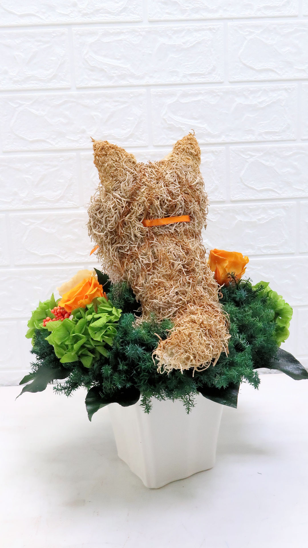 アニマルフラワー 猫