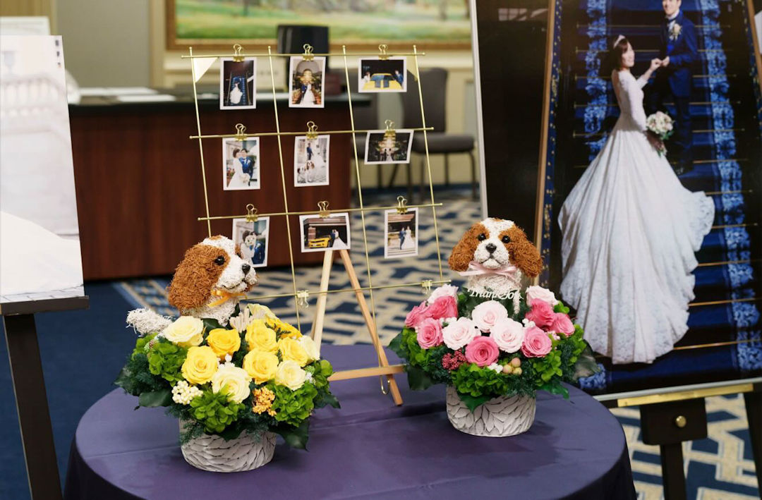 ウェルカムドール キャバリア