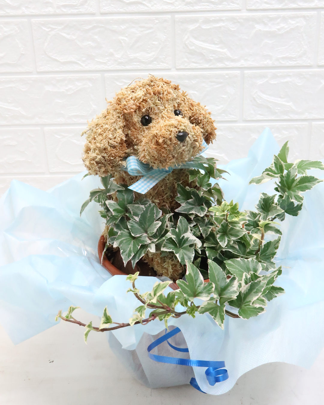 ペットのお悔やみ