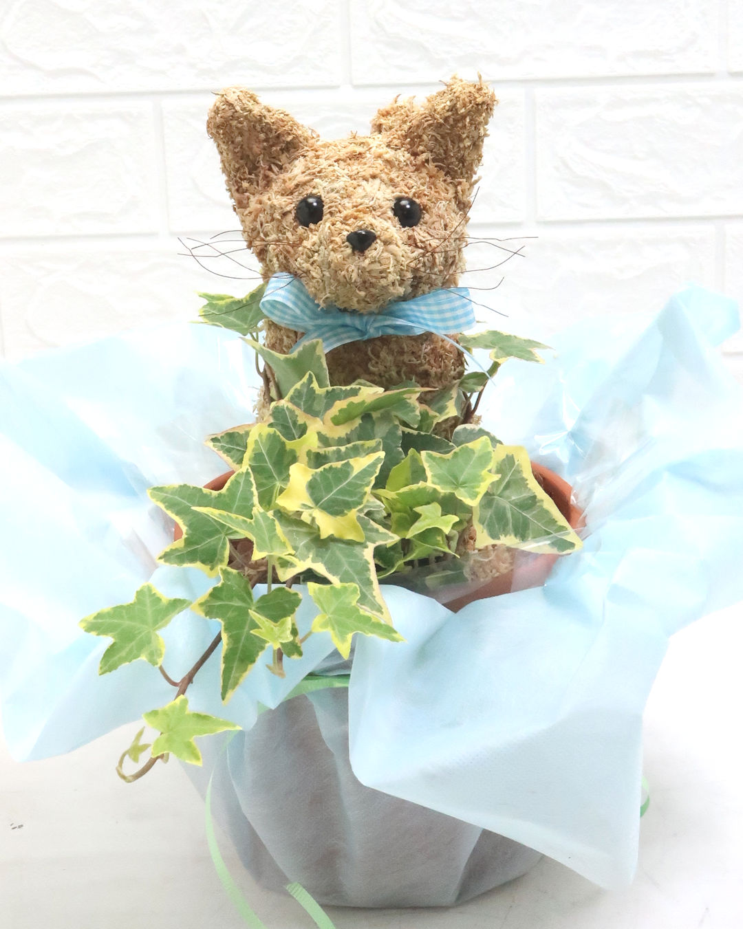 ペットのお供え花 猫