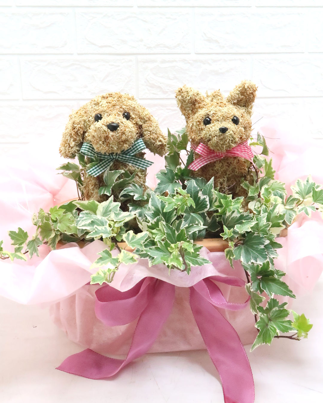 動物病院開院祝い