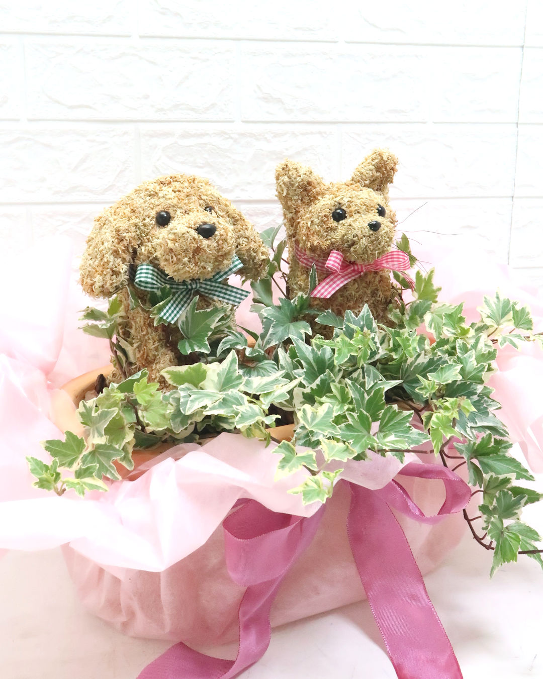 動物病院開院祝い 犬と猫