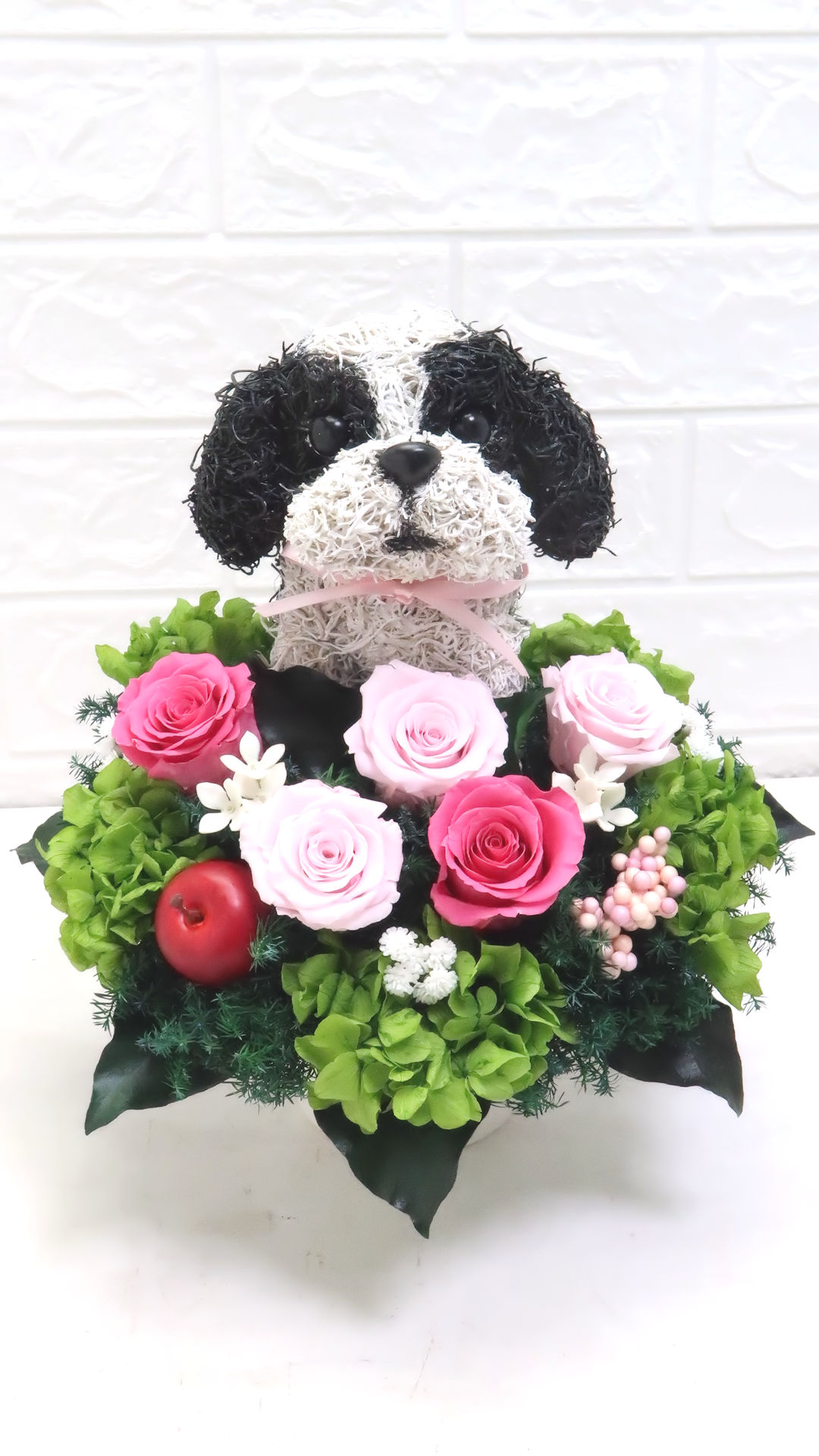 誕生日プレゼント シーズー