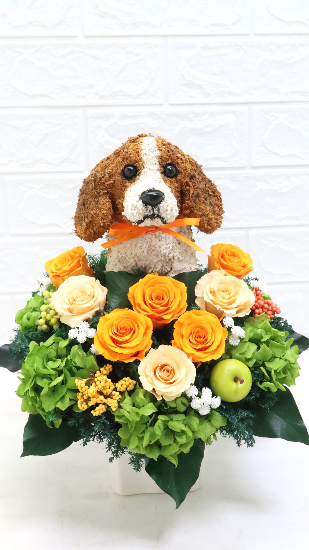 動物病院開院祝い