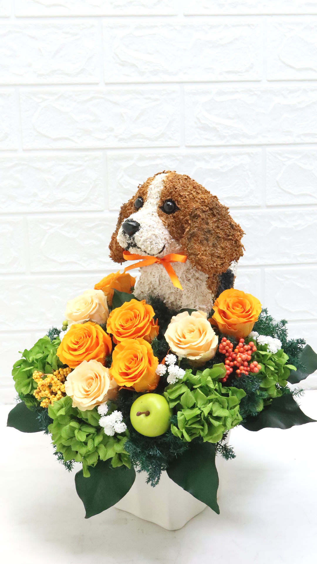 動物病院 開院祝い