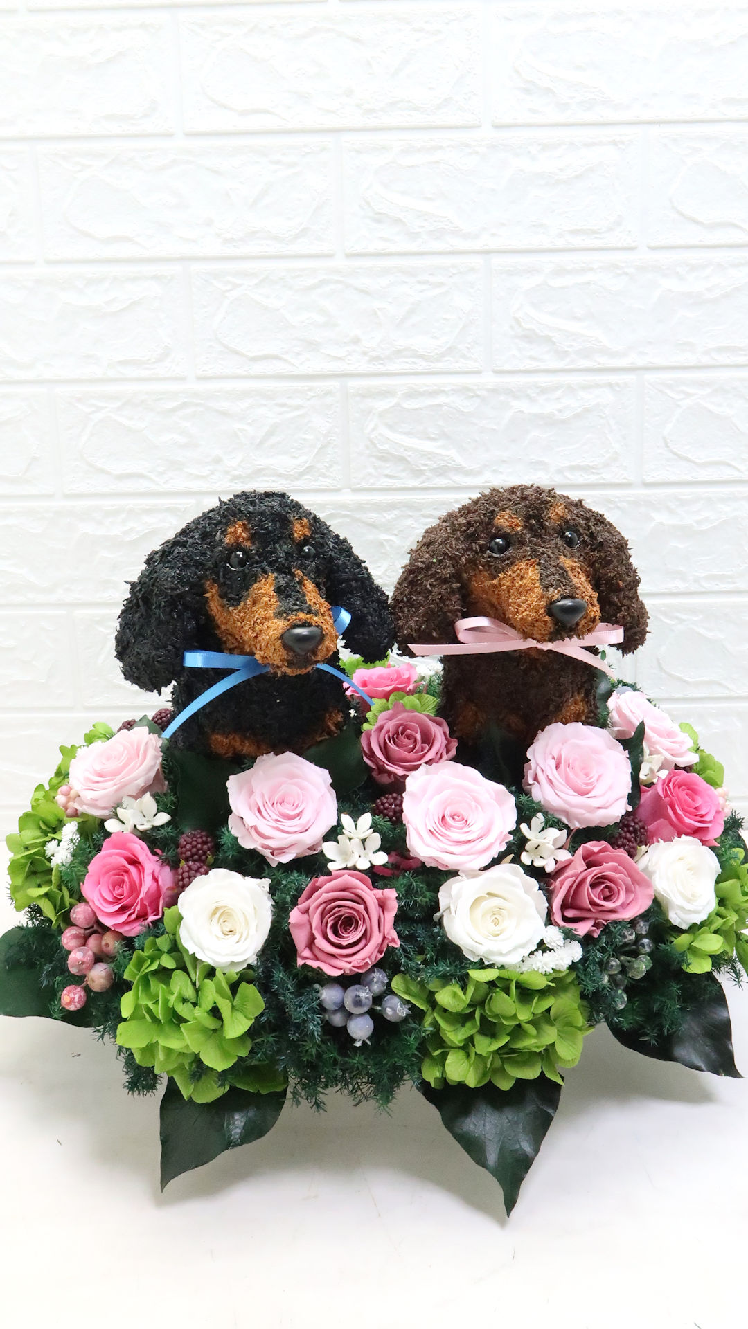 アニマルフラワー ダックス