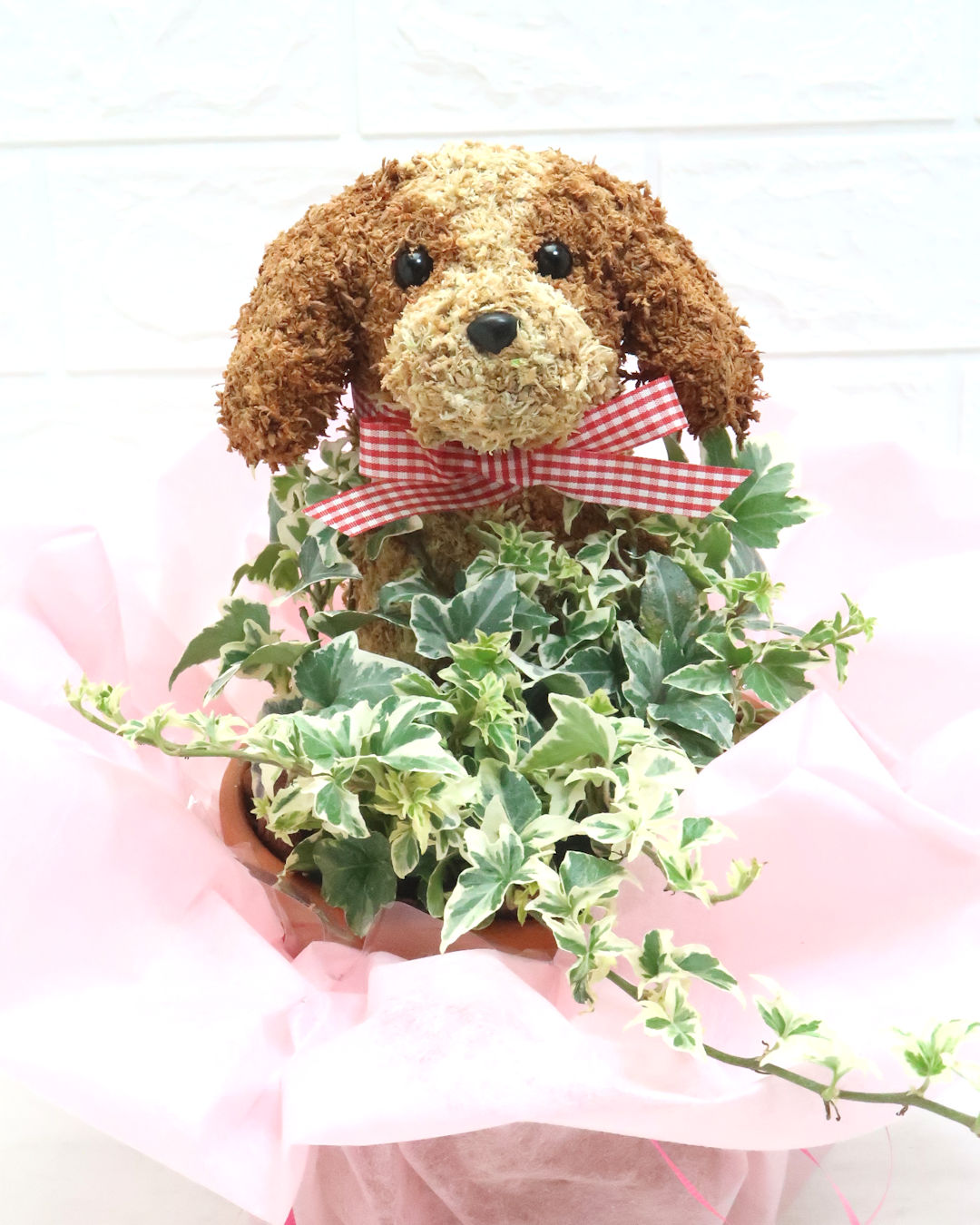 動物病院開院祝い