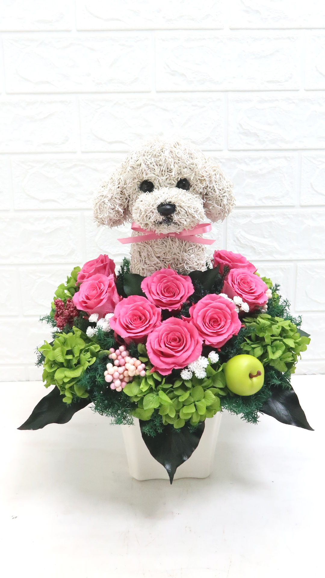 動物病院開院祝い