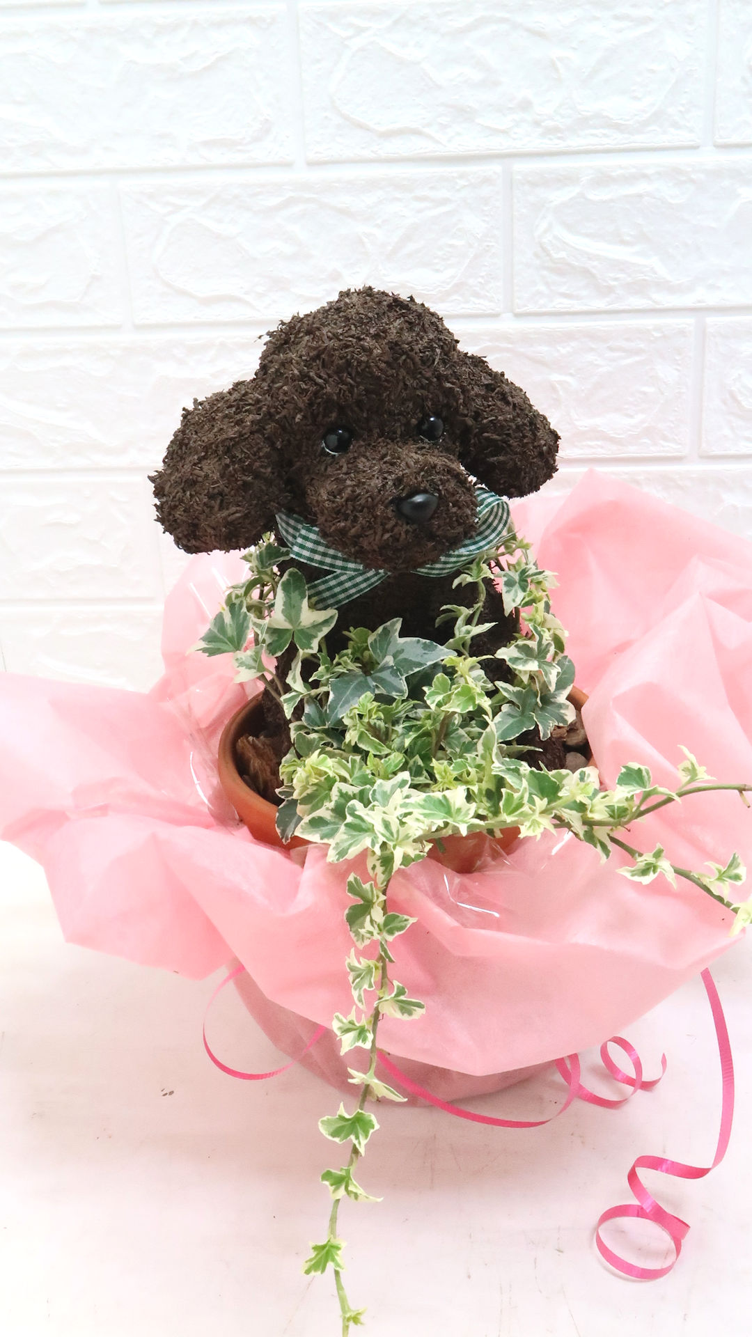 開店祝い トイプードルグッズ