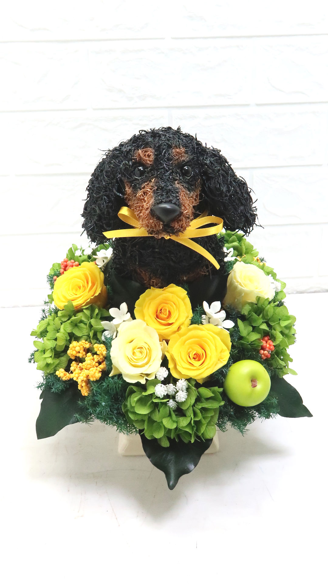 ダックスフンド