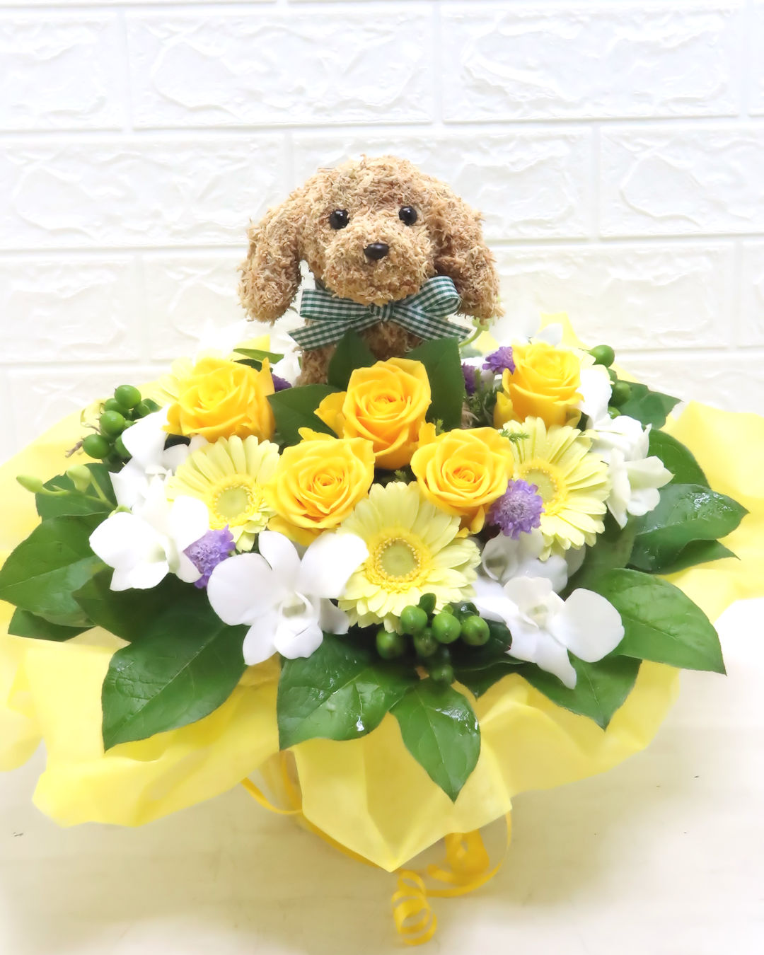 開店祝い 犬