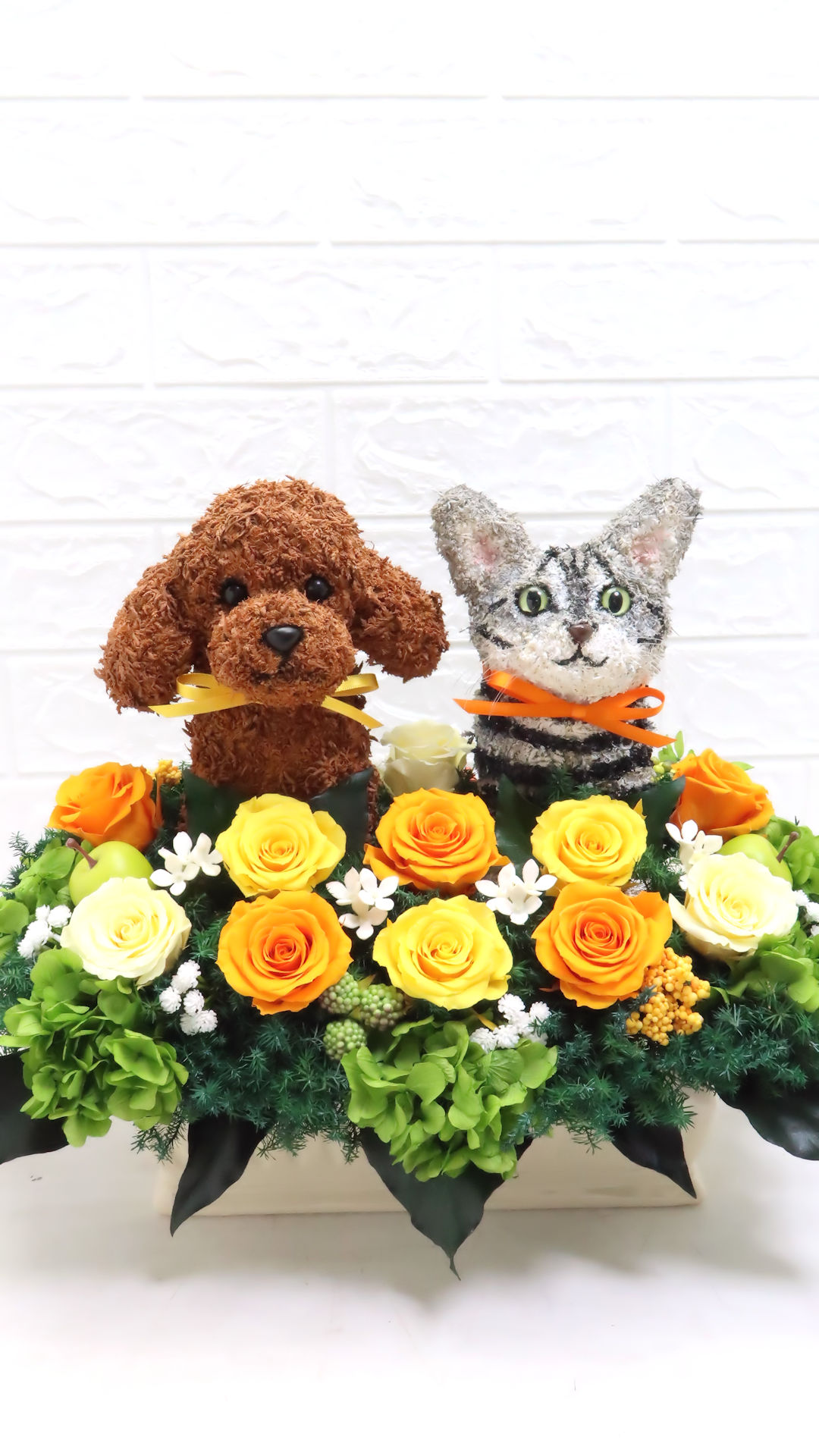 動物病院開院祝い