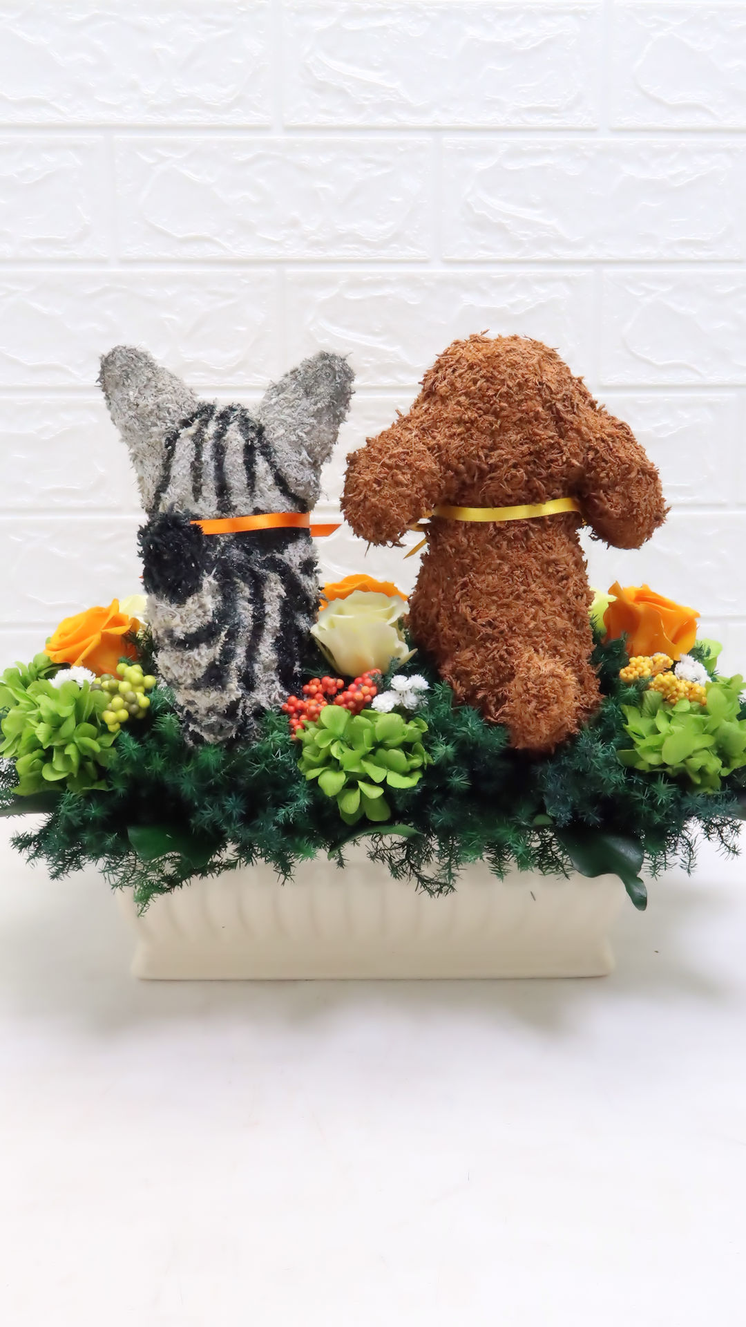 トイプードルとアメリカンショートヘア