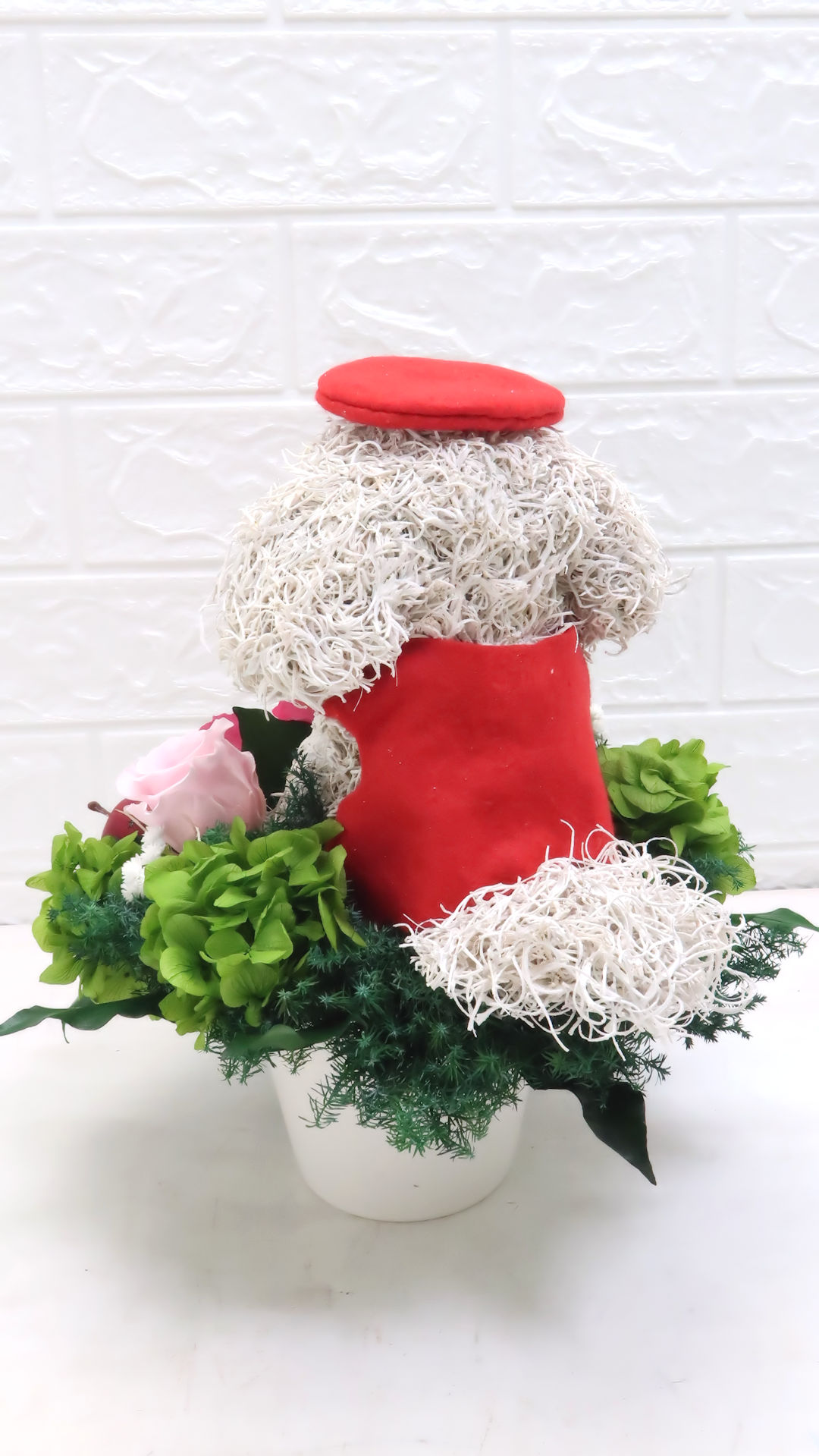 マルチーズ 還暦祝い