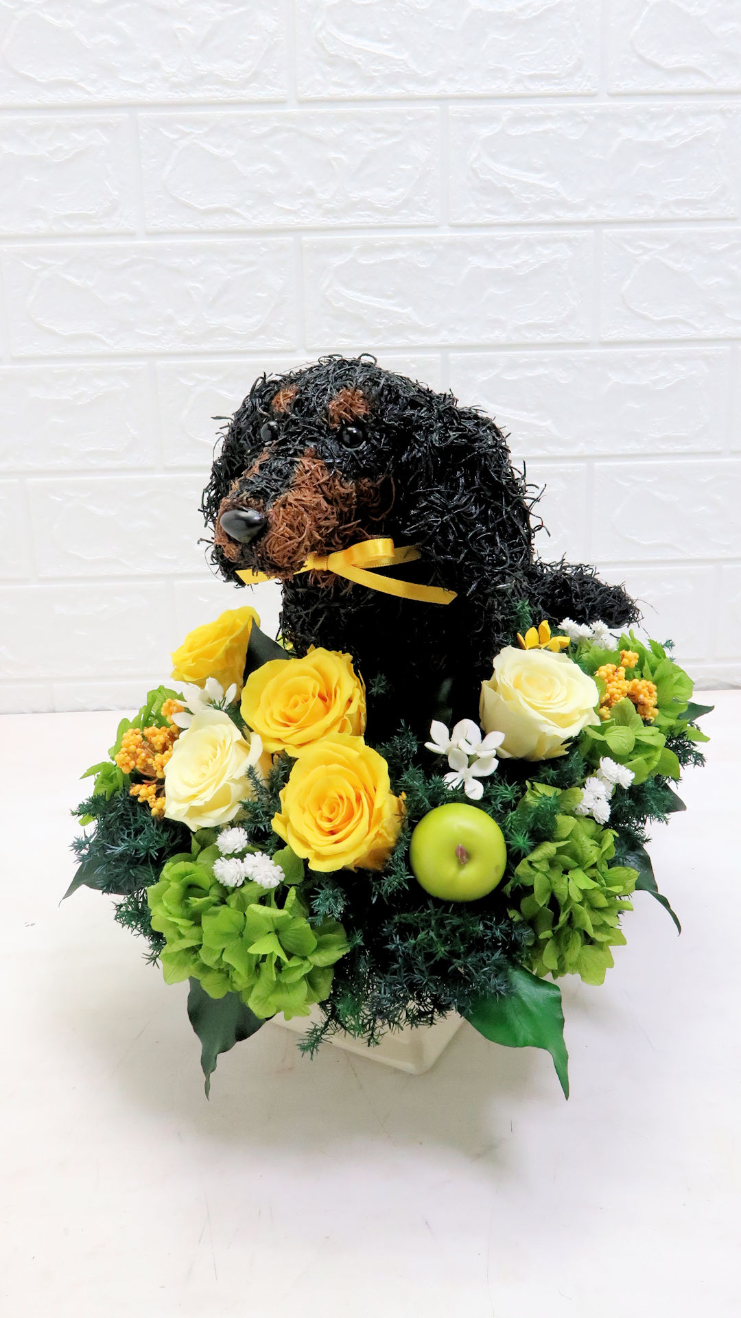 ダックス プレゼント