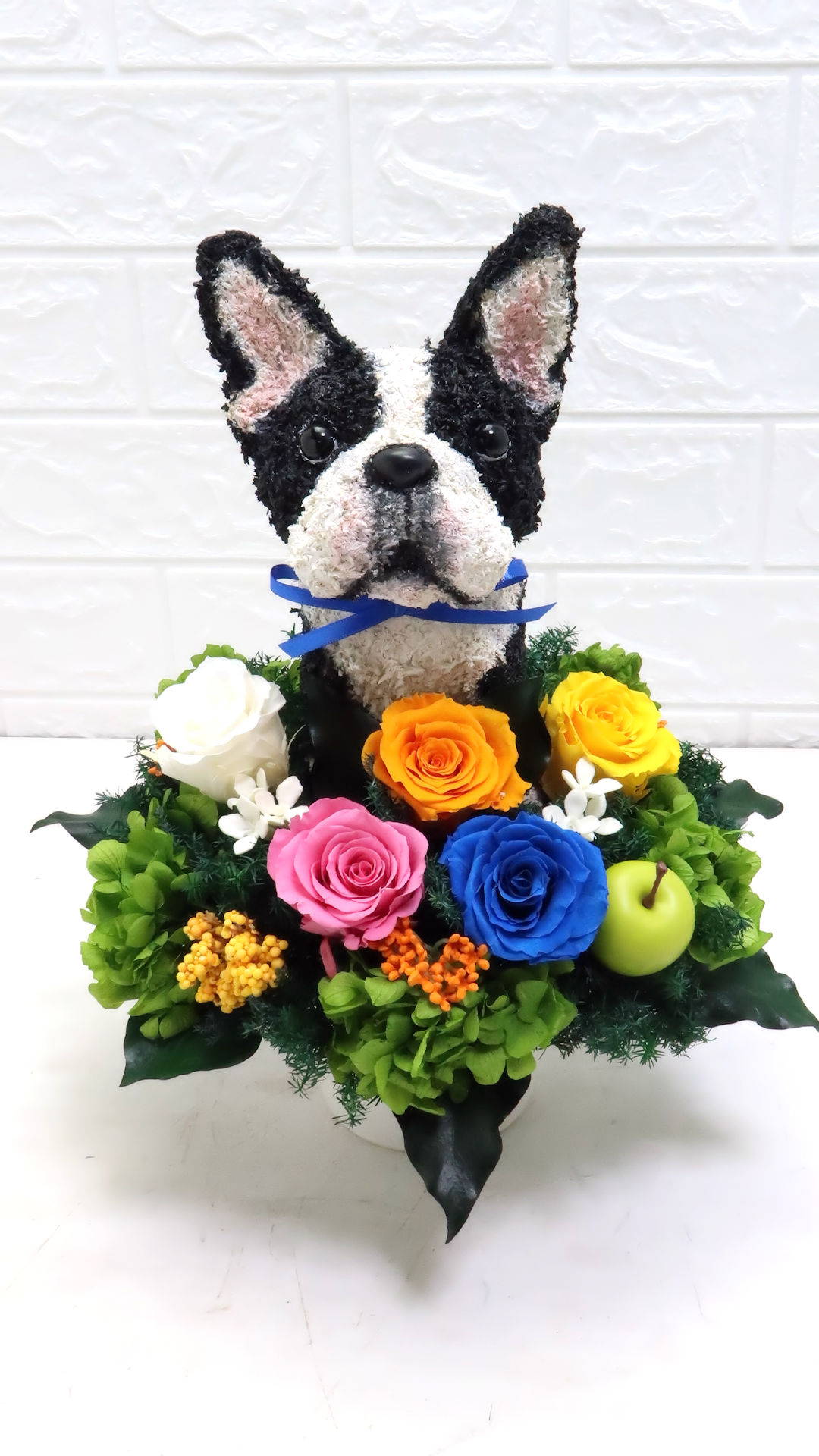 ボストンテリア 花