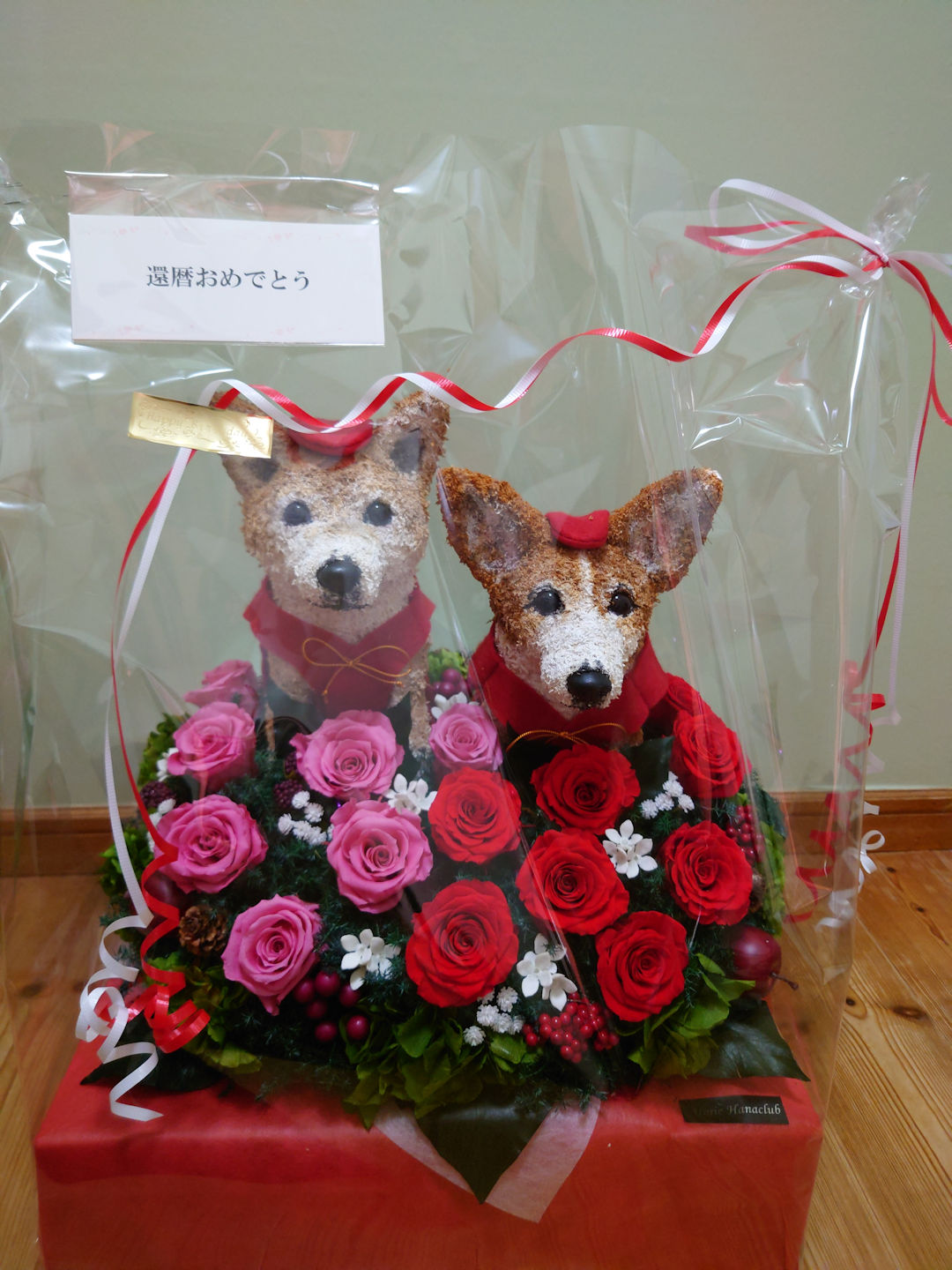 犬好き還暦祝い