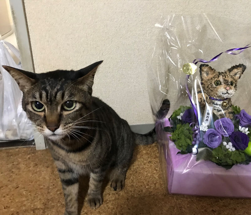 招き猫