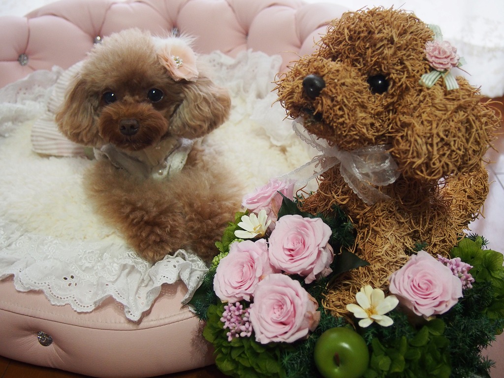 母へプレゼント 犬