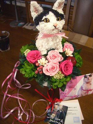 猫　プレゼント