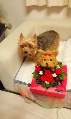 愛犬家の母へ 誕生日プレゼント