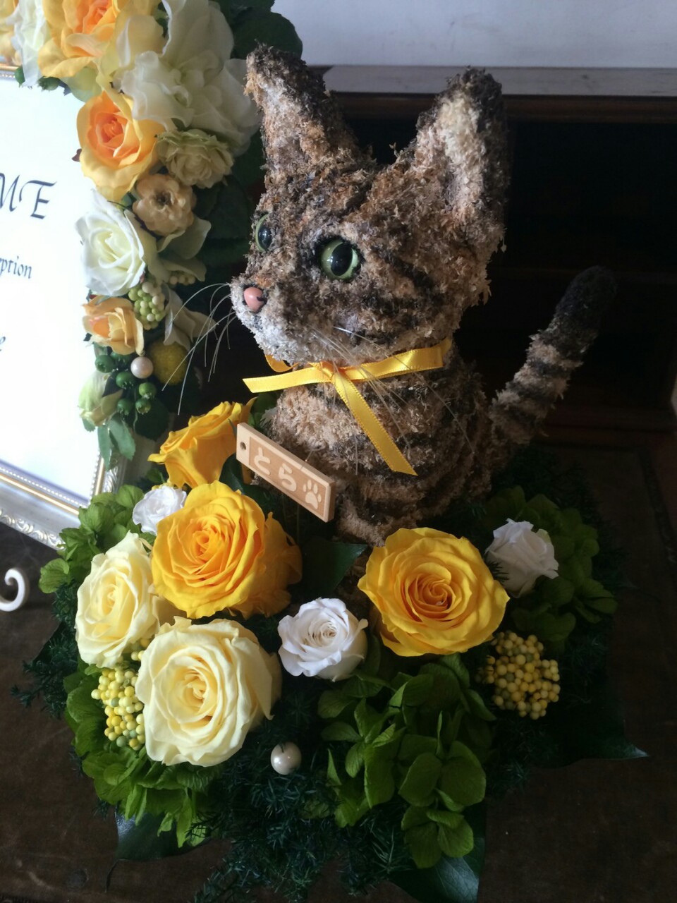 ウェルカムドール猫